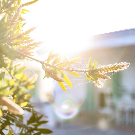 Villa Mina Ostuni Exteriér fotografie